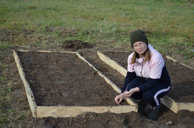 Зимняя посадка чеснока: как добиться богатого урожая