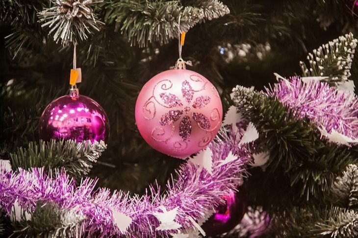 «Не выбрасывайте ни в коем случае»: 5 хитростей для новогодней ночи, которые задобрят Зеленого Дракона – зарядит на успех в 2024 году