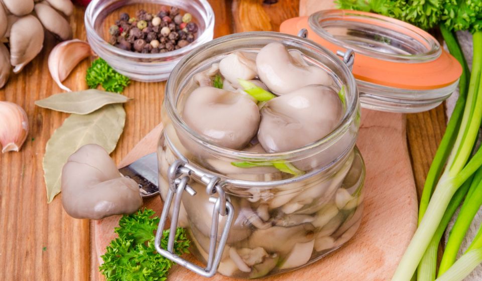 Маринованные вешенки: секреты приготовления