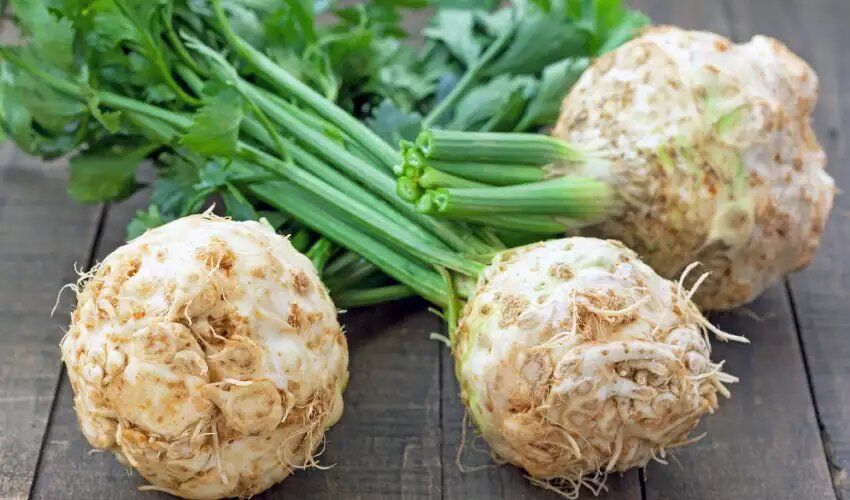 Секреты хранения сельдерея: как сохранить свежесть до самой весны