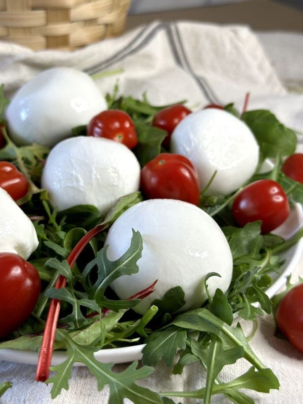 Итальянские сыры: знакомство с моцареллой, бурратой и страчателлой