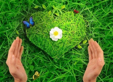 Когда любовь не нужна: стоит ли строить отношения без влюбленности?