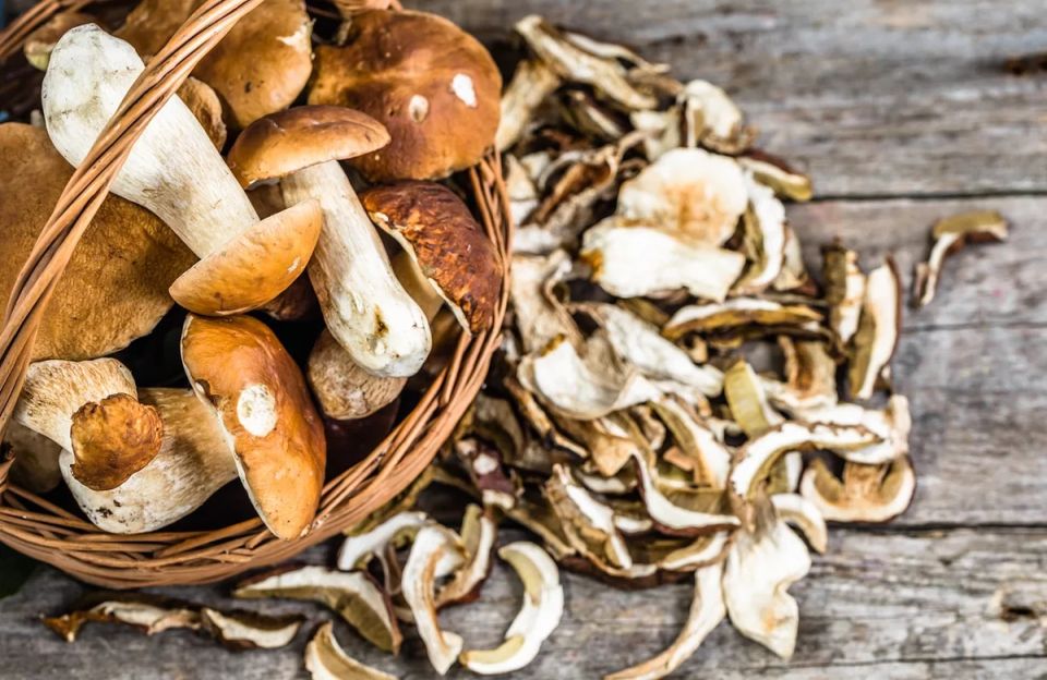 Как правильно сушить и хранить грибы: секреты, которые стоит знать каждому кулинару