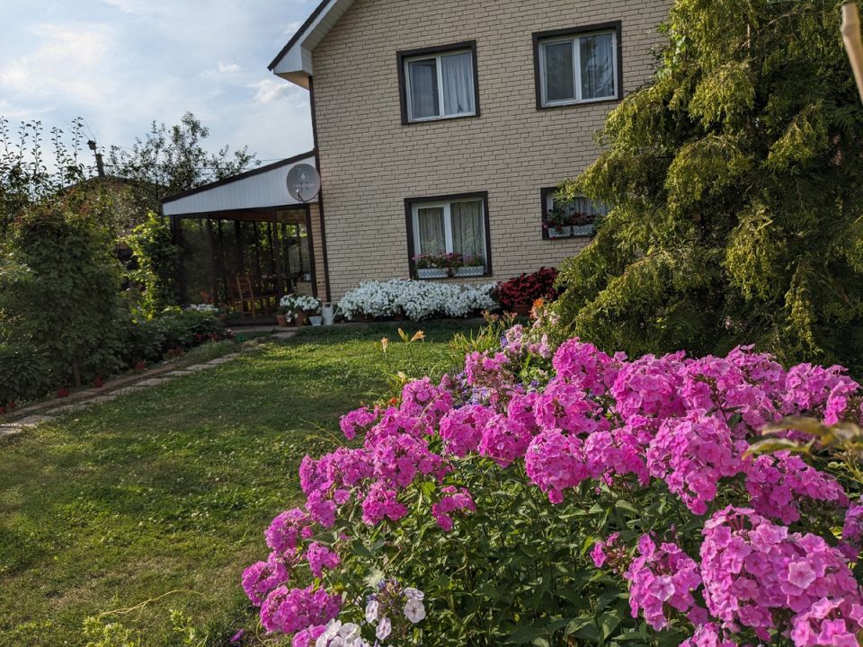 Флоксы: красота и неожиданности для каждого садовода