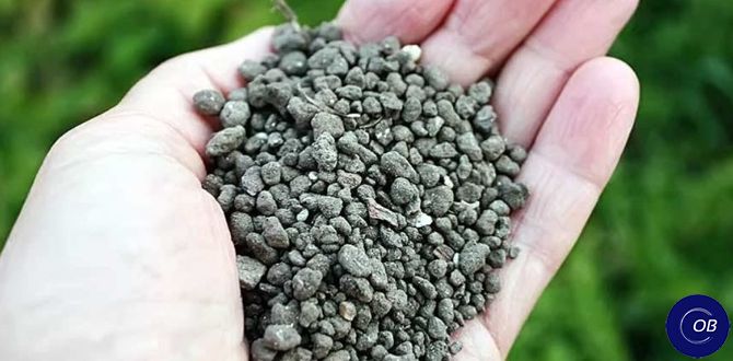 Сапропель в саду: секрет к здоровой и плодородной почве