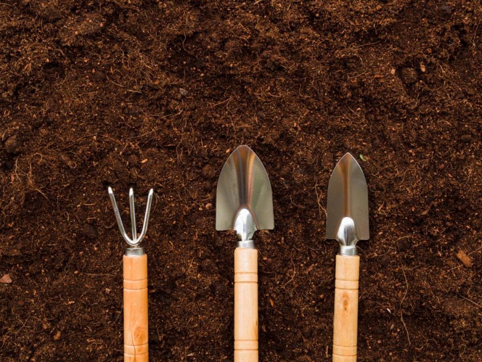 Как осенняя обработка клумб поможет вам повысить урожай на 50%?