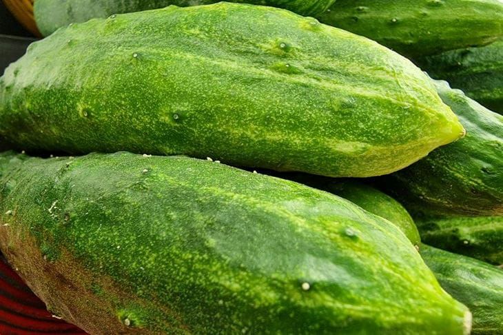 Разгрузочный день: как правильно его организовать и какие продукты есть в этот день, чтобы принести организму пользу