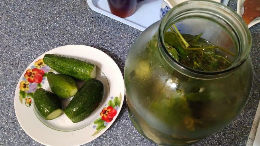 Определяющие факторы для успешной засолки огурцов