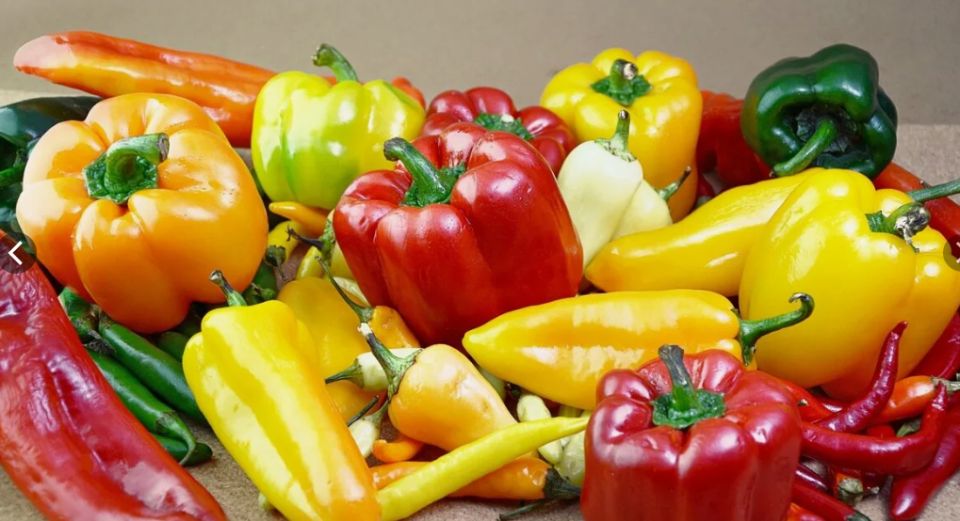 Тайны быстрого созревания перцев: три простых совета от экспертов