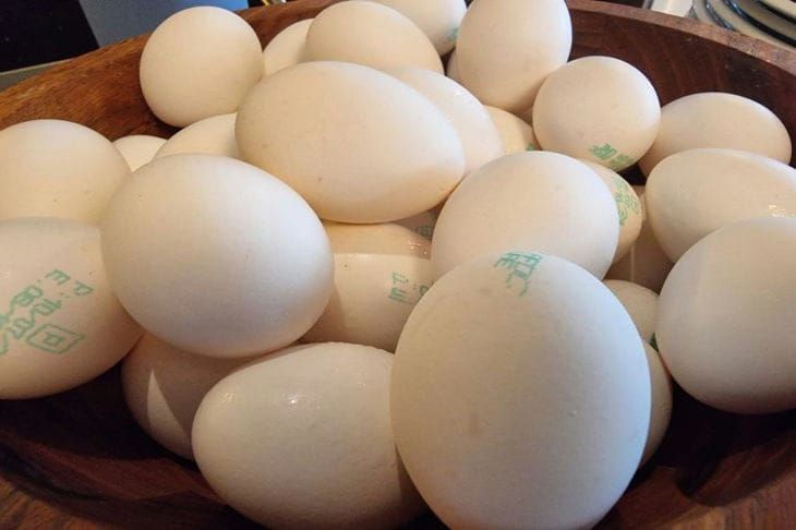 ������ ����� �������� ��� ������ �������