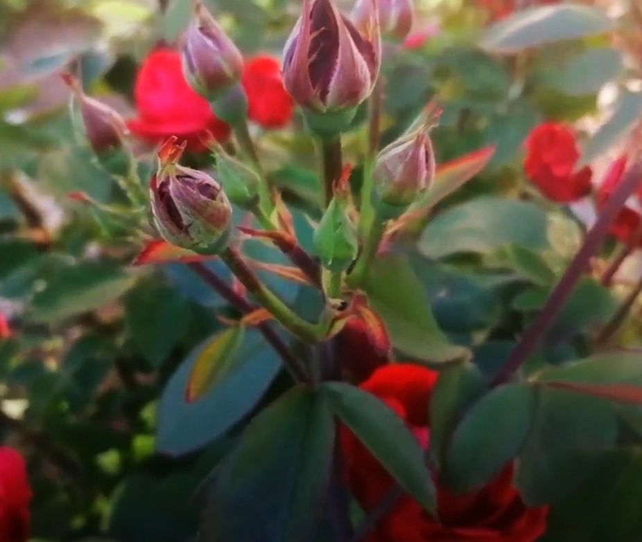 ��������� ����: ������ �� ������������ � ��� ������ ���������� ������ ����� � ����� 2026