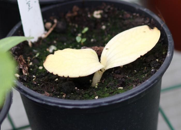 ��������� �����: ��� �������� ��������� ��� ����������