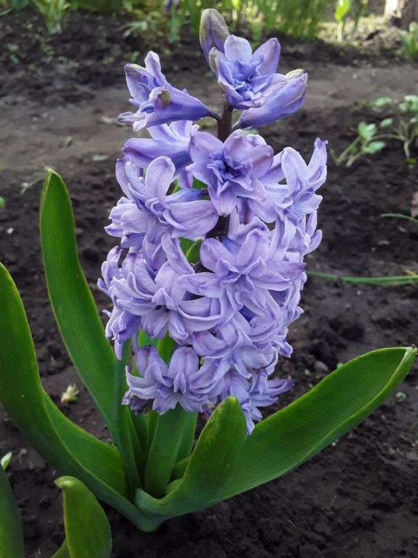 �������� ������: 15 ������������ ������, ���������� ���� ����