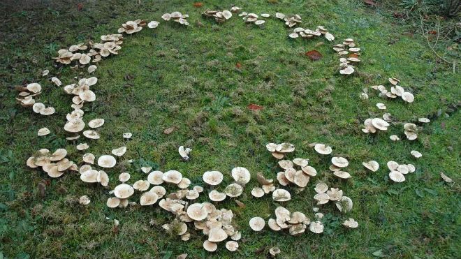 ������� ������ � ���������� ������� �� ������