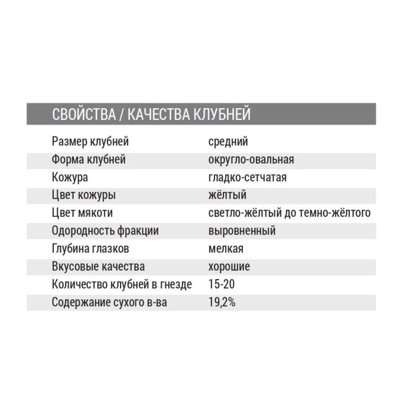 ������ ��������� ���� ���� �������� �����������