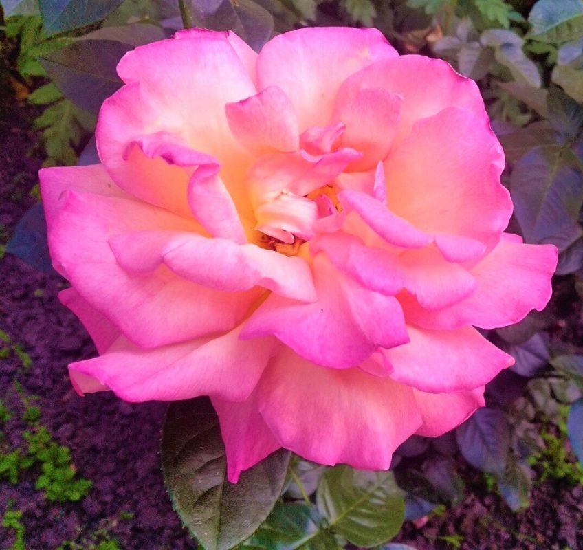 ��� ������� � ������ � ������� 2025 ���� �������� ������ � ���������� ���