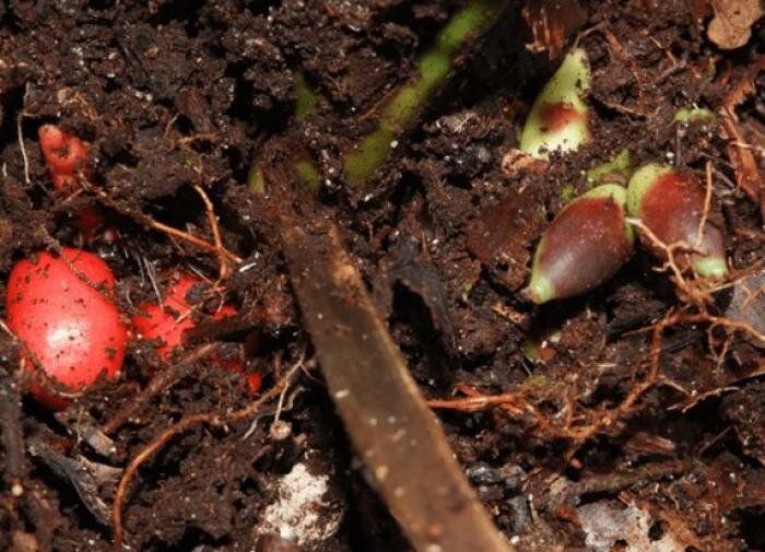 ������� ��������: ����� ������, ������� ���������� ��� ������