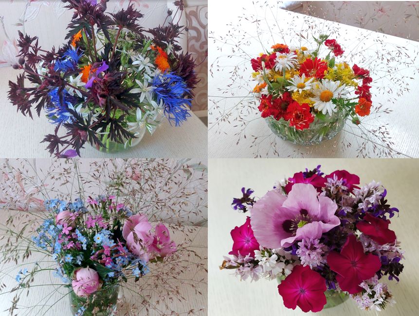 Как собрать зимний букет: советы по использованию сухоцветов и неожиданные находки