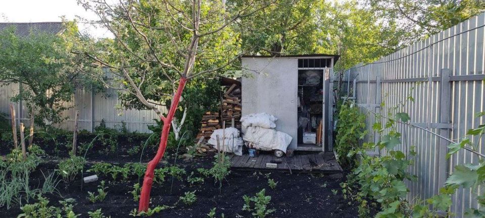 ����� ����� � �����������