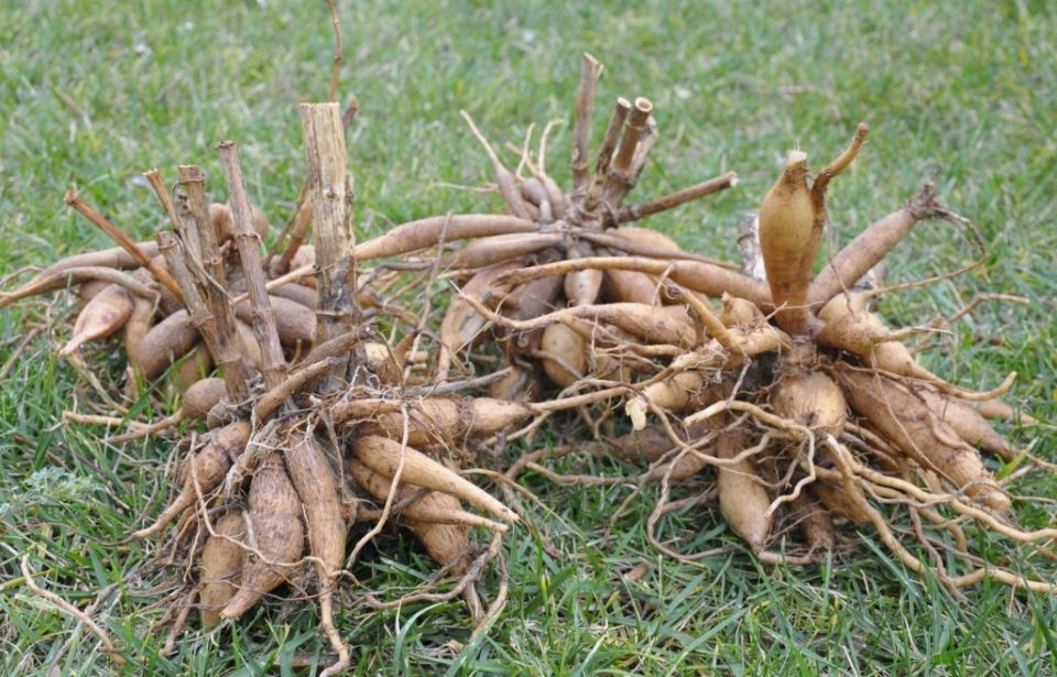 ��� ���� ������ ����� ������ ���� �������� �� �����