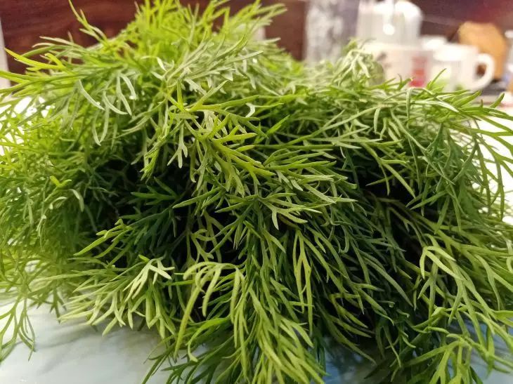 ����� ����������, ���� ������ ���� ������