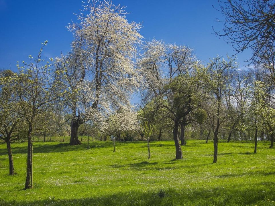 ��� �������� �������� ������ � ����: ������ ������� ���������