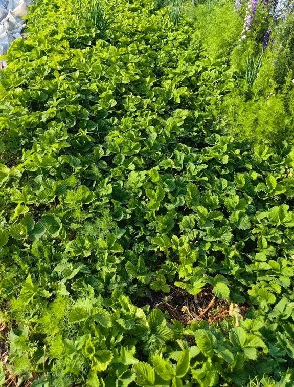 �������� ������: ��� �� �������� � 