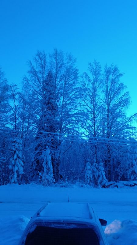 Семейное счастье и рождественское чудо: как мы встретили Олю