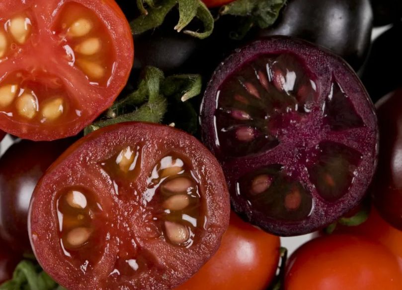 ��������� �������: ������ �������� � ��������������� ����� ����� ��������� ��������