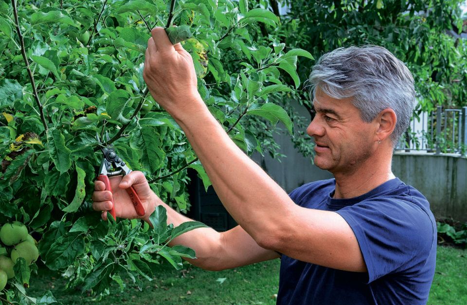 ��� �� ������ ������� ������: ������� � �������� ���������� ��� ����� ������