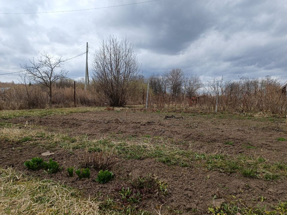 Как улучшить тяжелую почву на участке: простые советы для садоводов