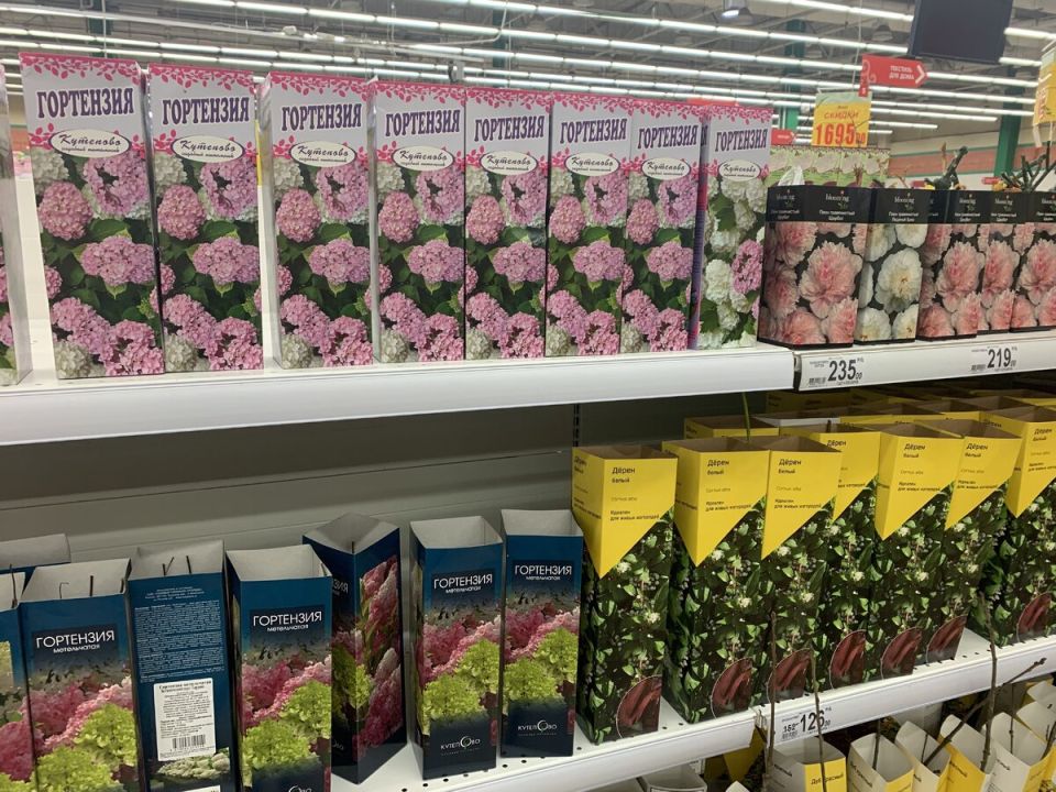 ��� �������� ������ ��� �������� ������� ����������� ��������