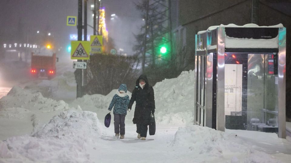 �������� ������� ��������� ����������� ������ �� ������ � 50 ���