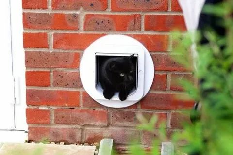 �������� ��� � ������: ��� ���������� ������������ ���� � ��������� ������������ ���