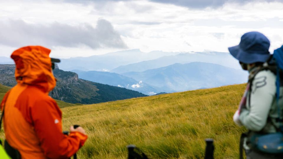 ��������� ������ ������������: ����� ��������� ����������