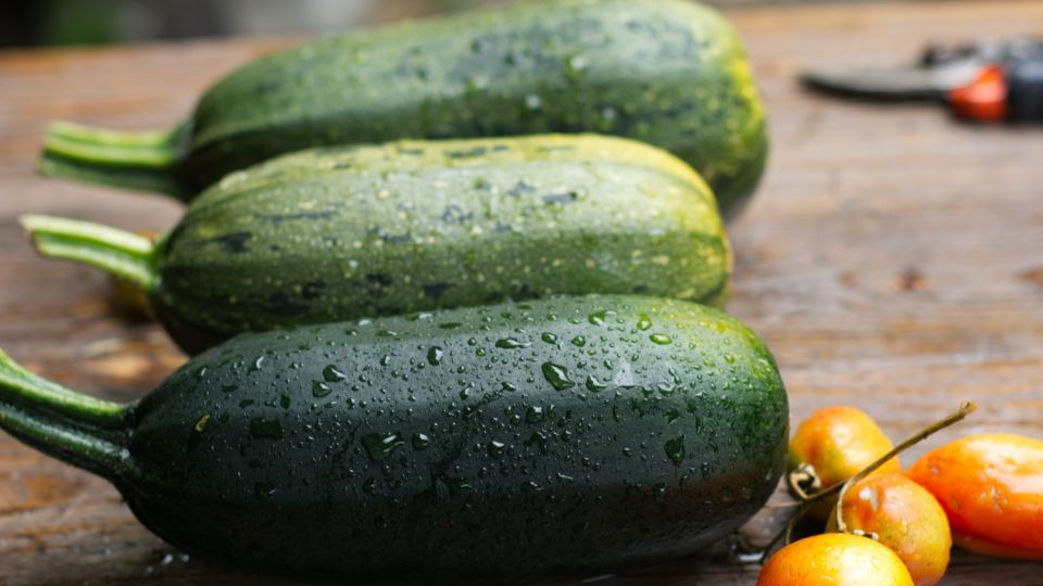 ��� ������� �� ������� ������ ������� ������� �� ����������� �����: ��������� ����� ������ ������