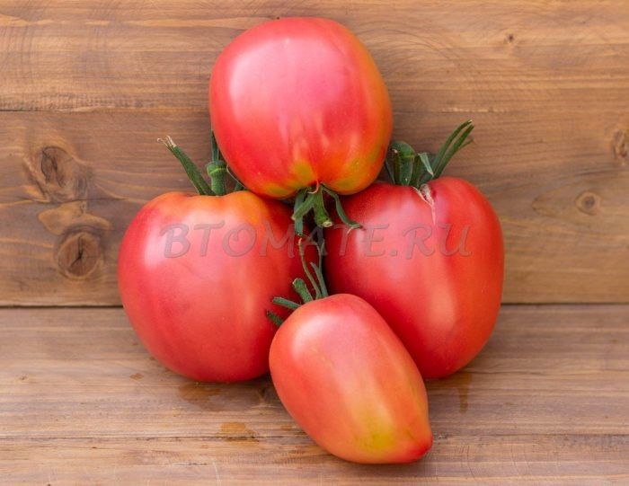 ����� ���������: ��� �������� ��������� ������ � ���� ��������� ������