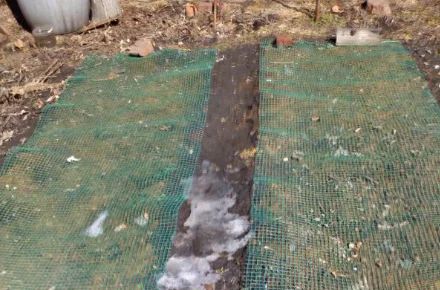 ������ ������ �������� ������������ ������ ��� ��� ����?