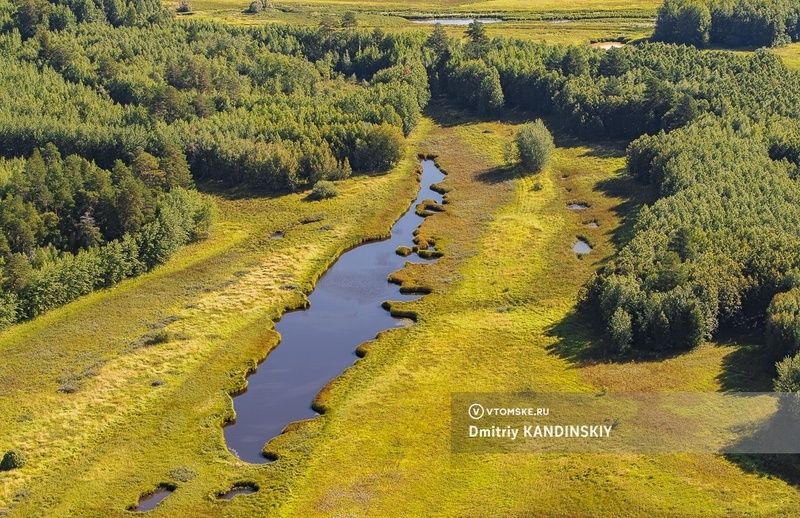 ���������� ������ ���������� �������� ������� ������������ ��� ��������� ����