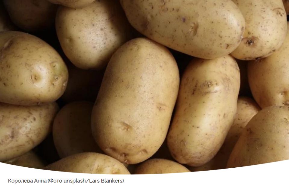 ���� ��������� �������� ����: ��������� ����� ��� ������ �������