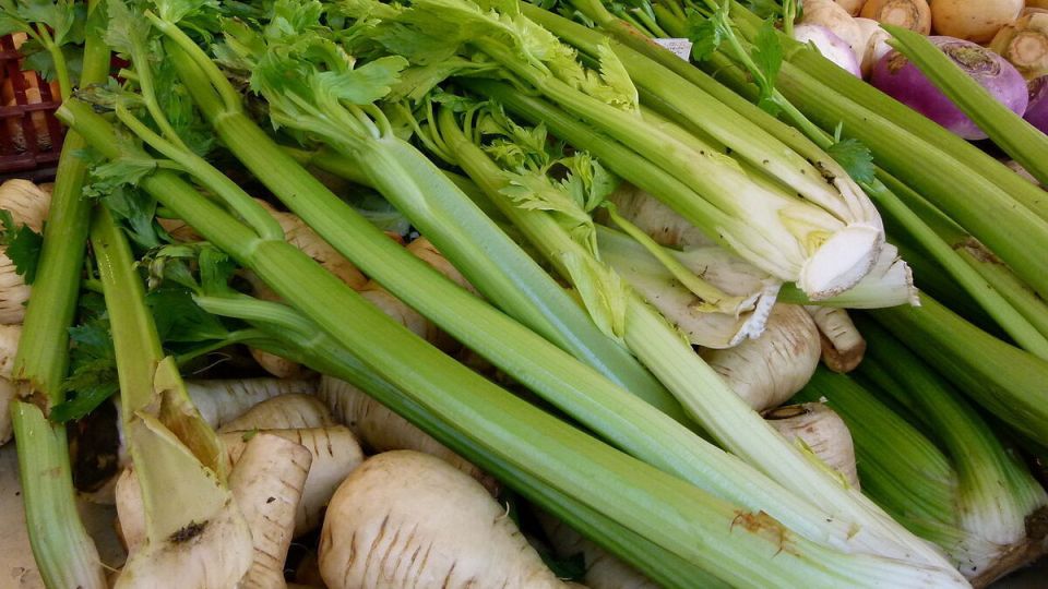 ��� ��������� ��������� ���������: ������ ��� ��������� � ��������� ������