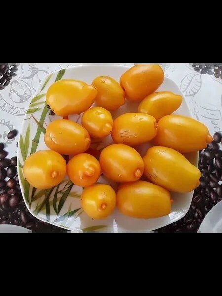 ����� ���� ��������� ��������: ��������� ����� ��� ���������� ��������