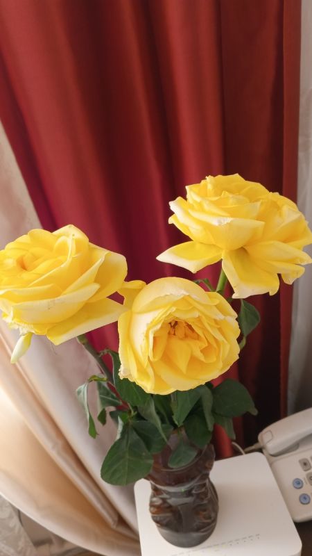 ����� � ������: ��� ������ 66-� ���� ��������