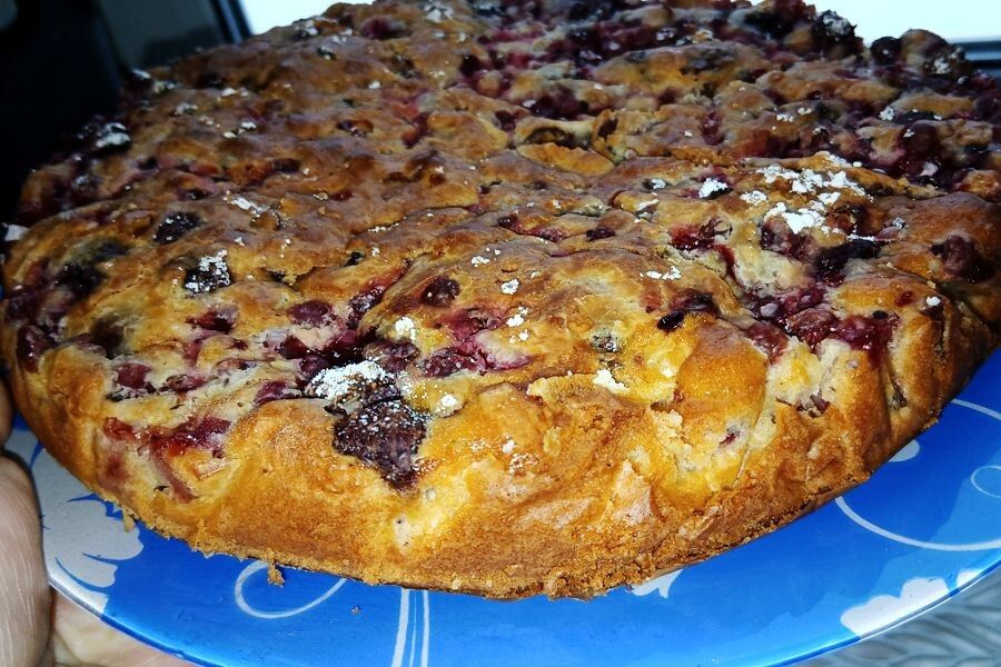 ������� ����� �� ���������: ������� ��������� ��� ������ ������