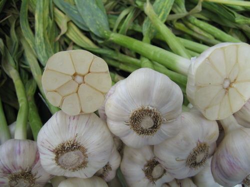 ��� ��������� ���-������ ���������: ������ � ������������