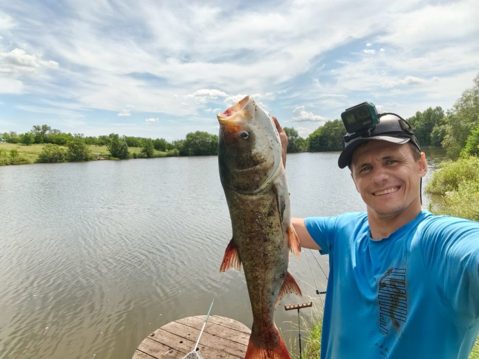 Поймали толстолобика? 3 рецепта, которые превратят трофей в семейный праздник