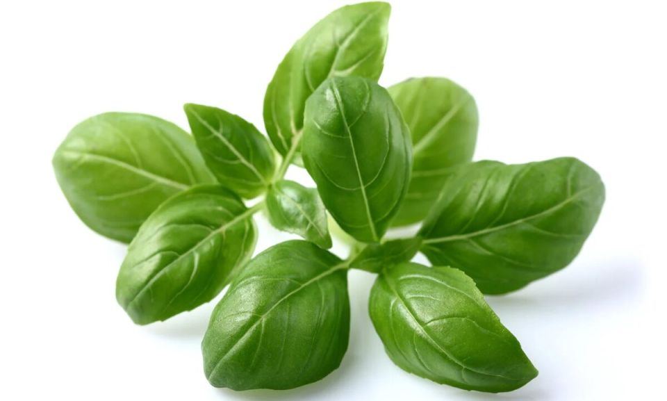 �������: ������� ���� �� ����� ����� � � ��������