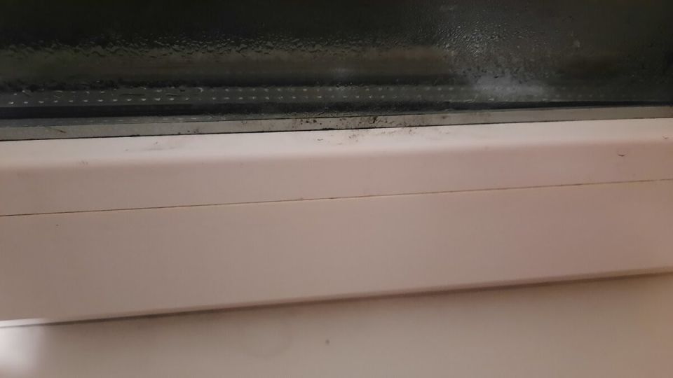 ��� � ���������� �� ������ �� ������������ ����� �� 53 �����: ������ �������� �������