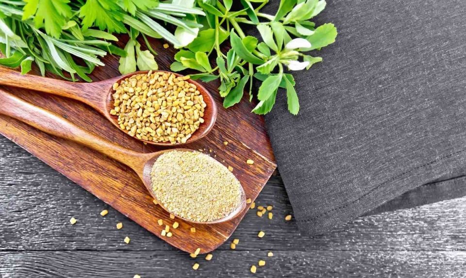 Как пажитник завоевал сердца фараонов и стал ключом к вашему здоровью?