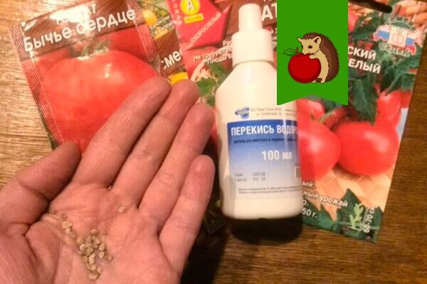 �������� ��������: ������� ��������� ����������� �����